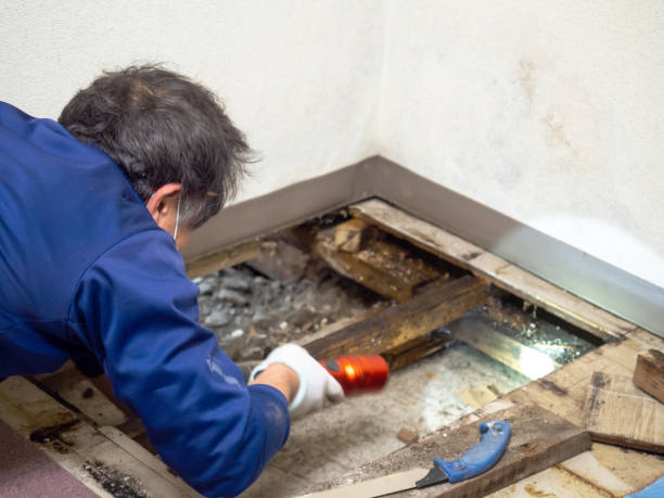 Water Damage Restoration in Eastmont, WA