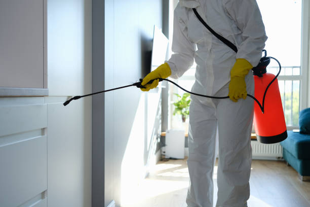 Best Crawl Space Mold Removal  in Eastmont, WA